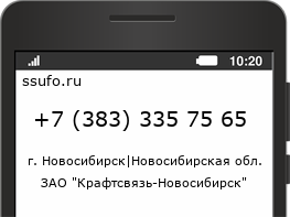 Номер телефона +73833357565