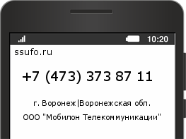Номер телефона +74733738711